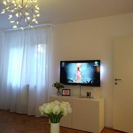 Art & Design Apt - City Center Timișoara Zewnętrze zdjęcie