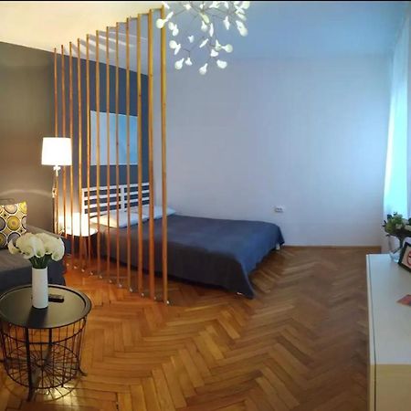 Art & Design Apt - City Center Timișoara Zewnętrze zdjęcie