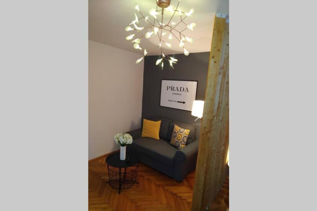 Art & Design Apt - City Center Timișoara Zewnętrze zdjęcie